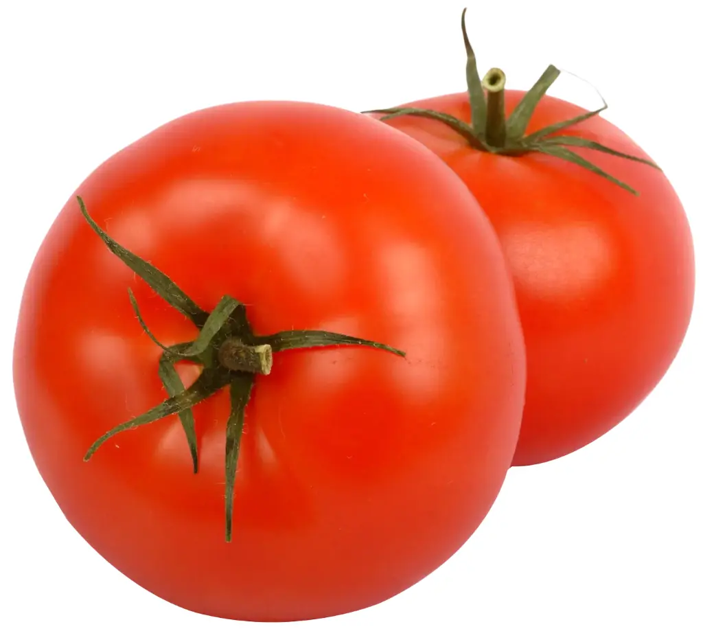 Tomato