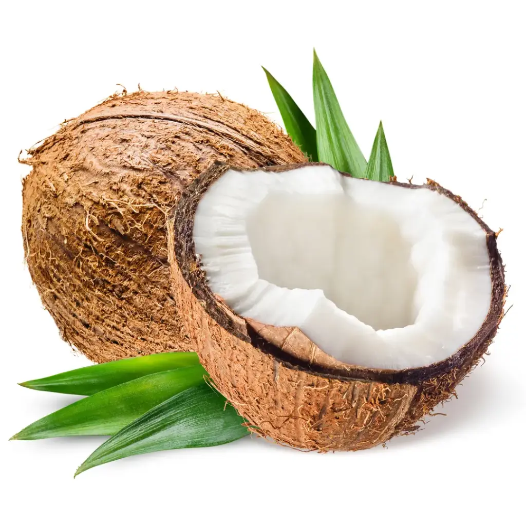 Coconut