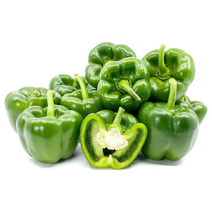 Capsicum