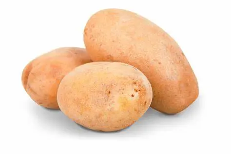 Potato