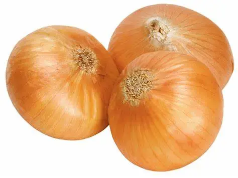 Onion