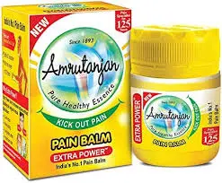 AMRUTANJAN PAIN BALM 8 ML